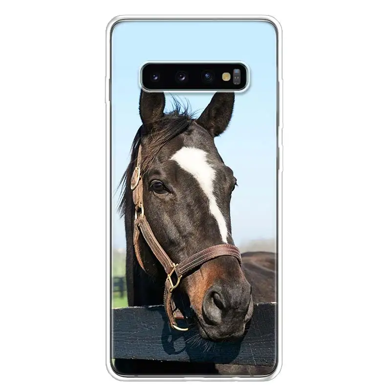 Horse чехол с изображением животного чехол для телефона для samsung Galaxy S10+ Note 10 9 8 S9 S8 J4 J6 J8 плюс S7 S6 корпус под плетенную сумку - Цвет: TW144-7