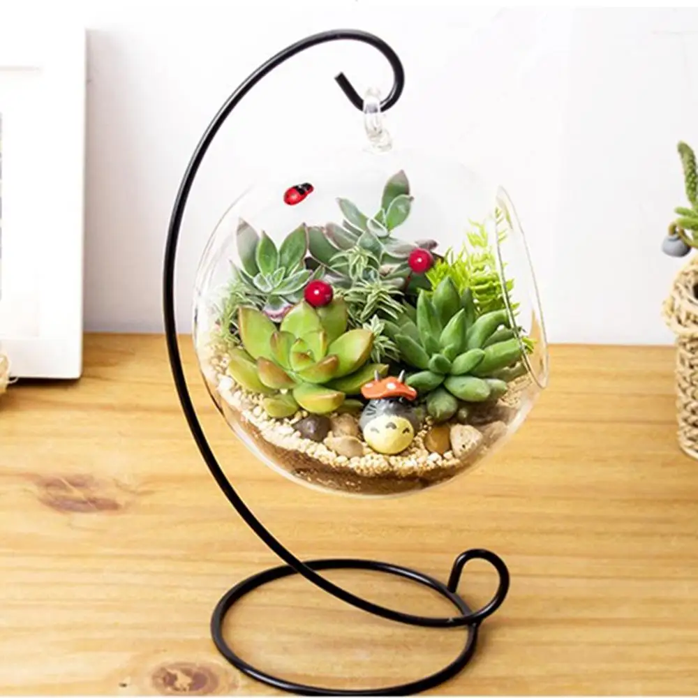 

Hanging Glass Vase Large Terrarium with Frame for Air Plants Succulent Planters