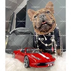 Хлопковые толстовки с изображением французского бульдога, одежда для домашних животных, одежда для маленьких собак, костюм чихуахуа, одежда для щенка, аксессуары для собак, PC1350