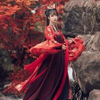 beauty makeup new traditional chinese hanfu dress spring and autumn models two piece full chest fairy skirt red cosplay costume