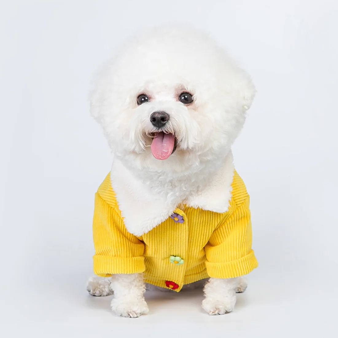 

Pet clothes winter corduroy clouds cotton coat dog clothes