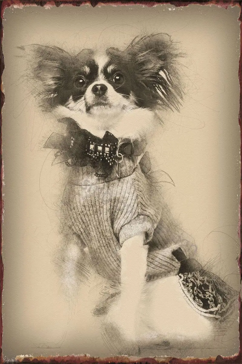 

Жестяная металлическая вывеска чихуахуа, декор для стен в стиле ретро, винтажный стиль, для дома, клуба, мужская пещера, кафе, паба, 35 лет