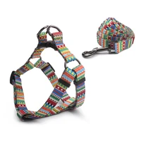 pet collar nylon personalized dog puppy collar and leash pet sets for small medium large dogs harness and leash set collar dog