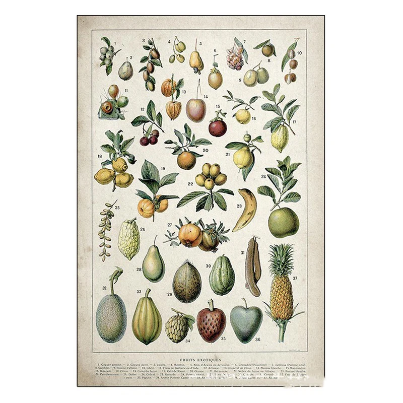 

Botanical Educational Posters Decoration Painting Bedroom Living Room Wall Art Hanging Painting Modern Home Decor