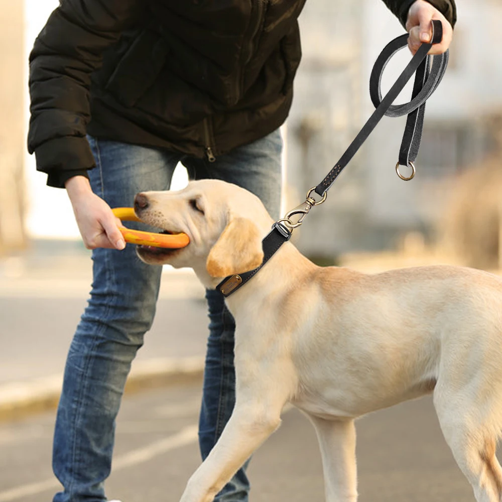 Ошейник из натуральной кожи под заказ персонализированный поводок для собак