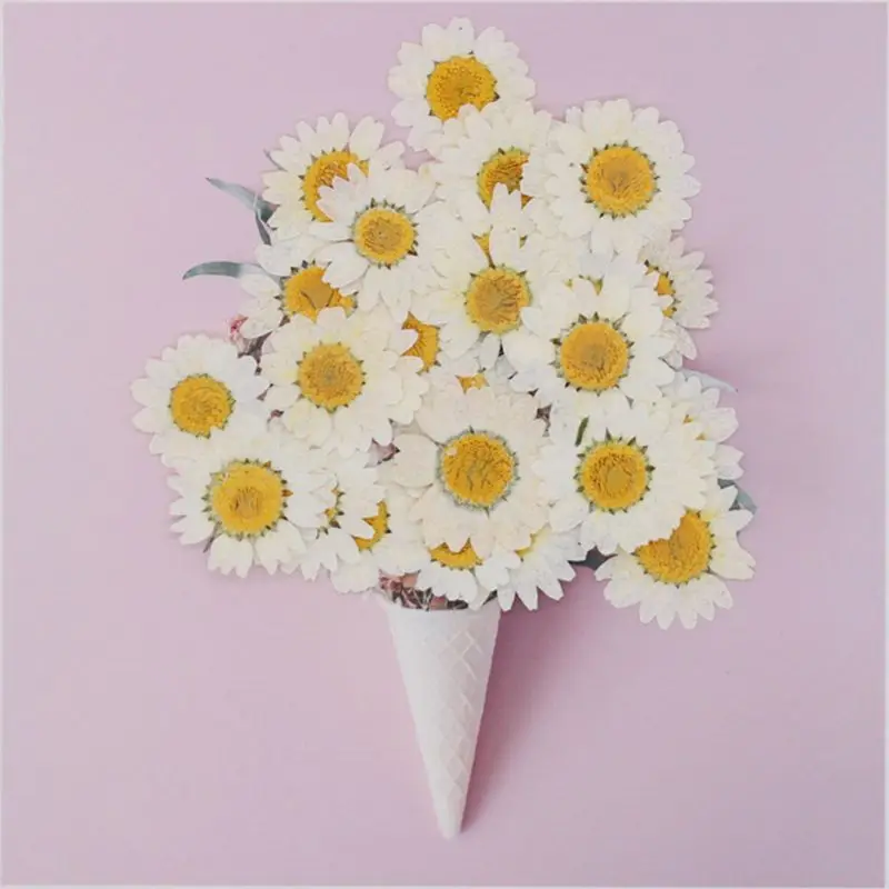 

100Pcs Real Natural Dried Pressed Flowers White Daisy Pressed Flower for Resin Jewelry Nail Stickers Makeup Art Crafts
