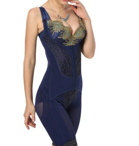 Эластичный корсет из спандекса для всего тела, Женский корсет, сексуальное нижнее белье, приталенный боди для женщин, Корректирующее белье, Прямая поставка - Цвет: Blue