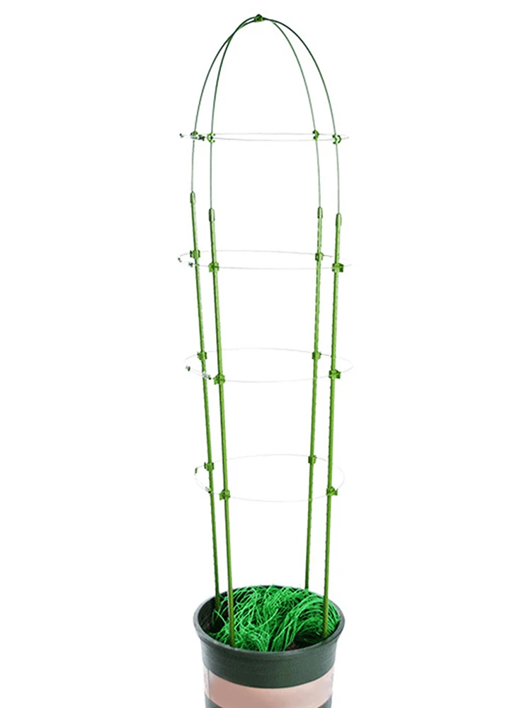 

Climbing Vine Rack Plant Potted Support Frame Plastic Coated Steel Flower Vegetables Decorative Trellis Bracket Garden Supplies