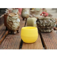 small cactus succulent planters indoor flower pots with a drainage hole