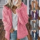 Новинка, Женская Куртка DAIGELO, Повседневные Плюшевые Теплые куртки с капюшоном, кардиган на молнии, топы, пальто, милый дизайн, однотонные женские парки, Куртка