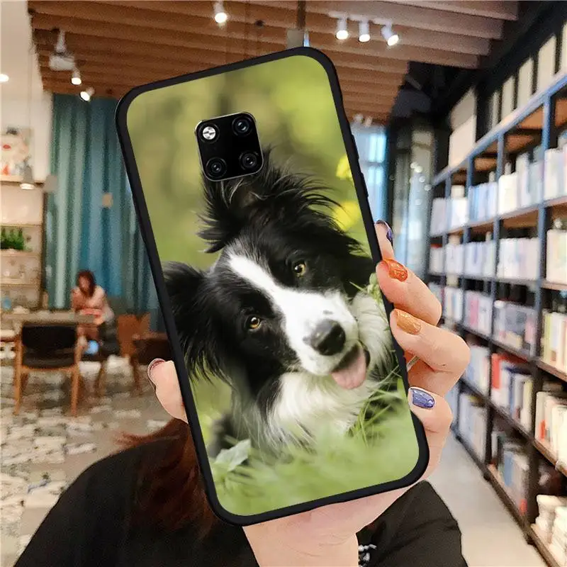 

Lovely Border collie dog Phone Case For Huawei Mate 9 10 20 Pro lite 20x nova 3e P10 plus P20 Pro Honor10 lite COVER FUNDA SHELL