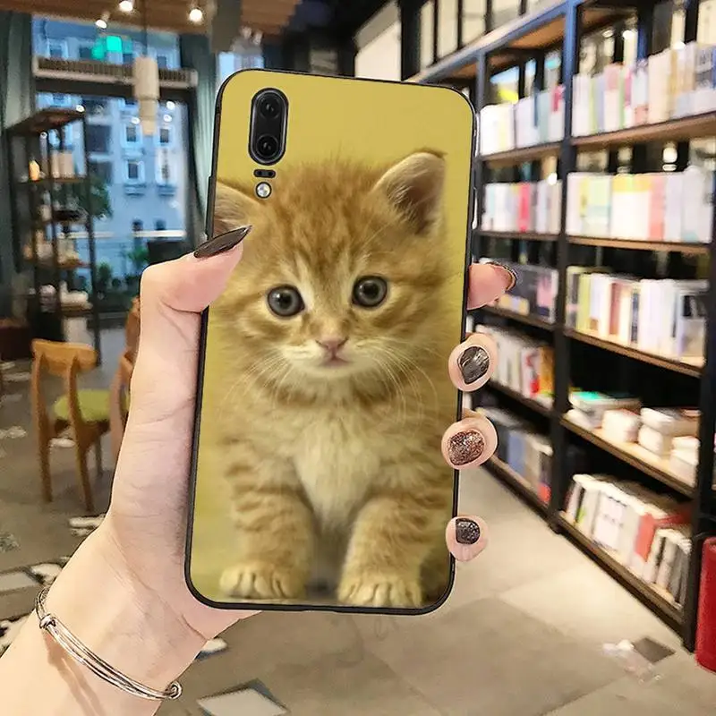 

cat Cute animal pattern fashion cover Phone Case For Huawei honor Mate P 10 20 30 40 Pro 10i 9 10 20 8 x Lite