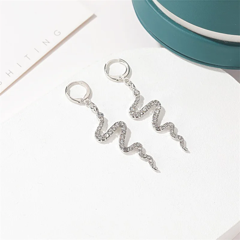 

earrings 2020 new earrings for teens Punk earrings creative snake earrings women's long earrings, Unusual earrings,piercing