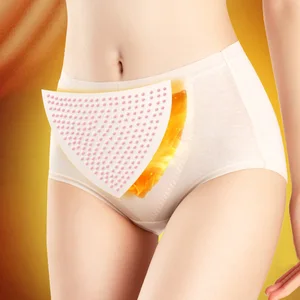 Women's Panties Sexy Underwear Seamless Cotton Underpants Mid-waist Panties Warm Womb Briefs M-XL Female Comfort Antibacterial