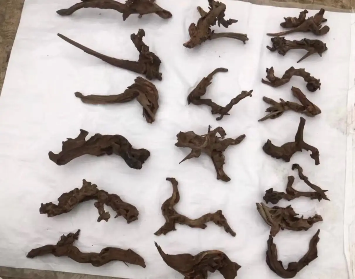 

supply driftwood,size 10-20cm