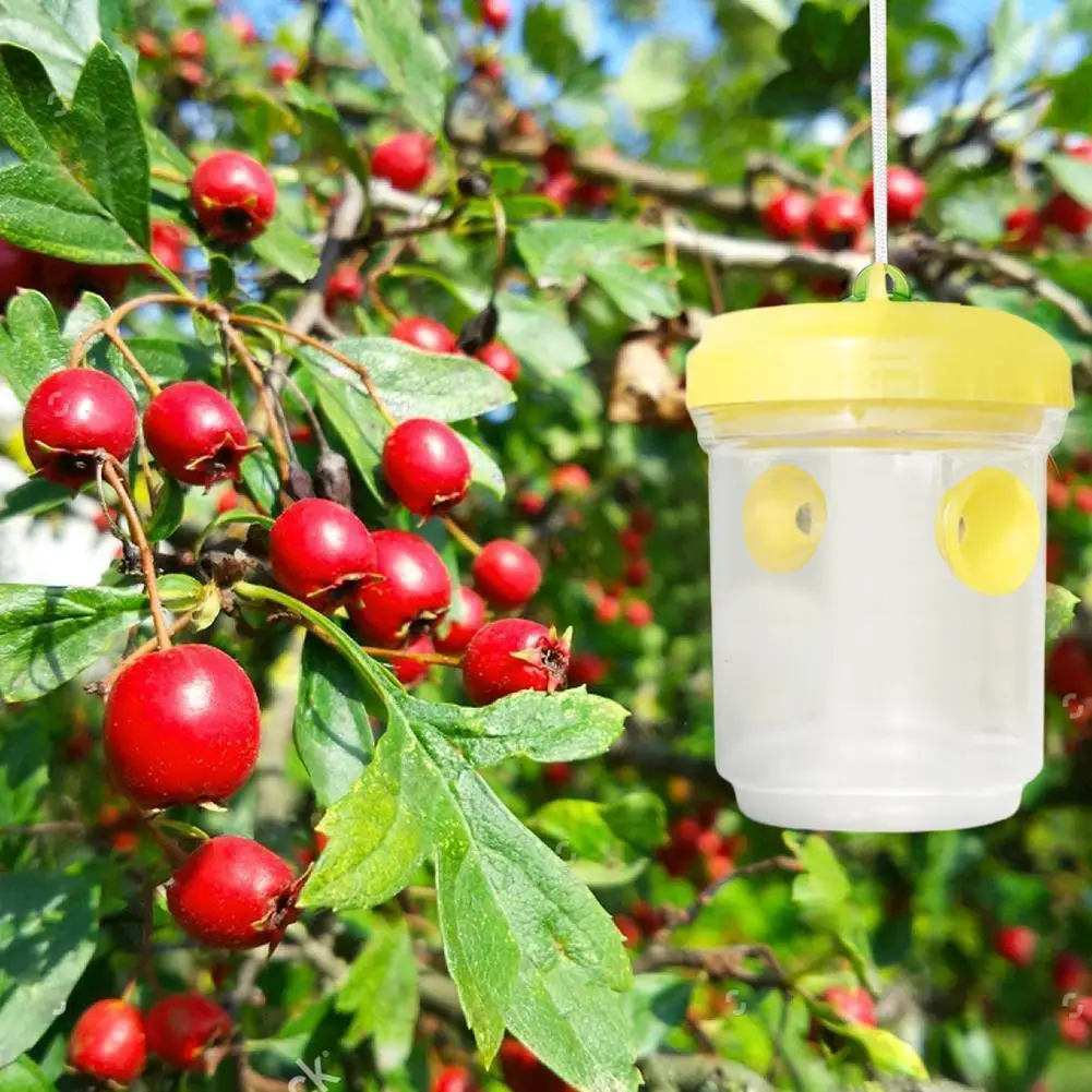 

Insect Trap Fly Wasp Trap Fruit Flies Insect Bug Hanging Tree Honey Catcher Killer Bee Insect Reject Pest Control Tool