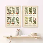 Кухонная травяная карта, винтажные постеры и принты, украшение, холст, настенные картины, специи, знания, художественная живопись, подарки, домашний декор