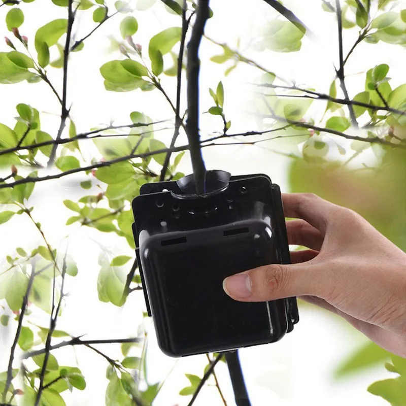 3/5/10 шт Завод укоренения мяч прививки гроубокс разведение чехол для садовое