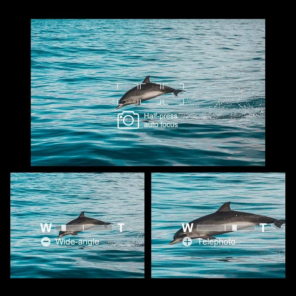 iii, a6100, a6400, a6600, a9, a7c, a7s iii, substituir RMT-P1BT