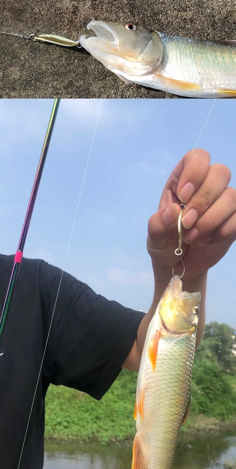 Una persona que sostiene una caña de pescar con un pez sujeto al anzuelo. El pez parece ser una especie de agua dulce, posiblemente una lubina o un tipo similar de pez de caza, dada su coloración y la estructura de su boca.