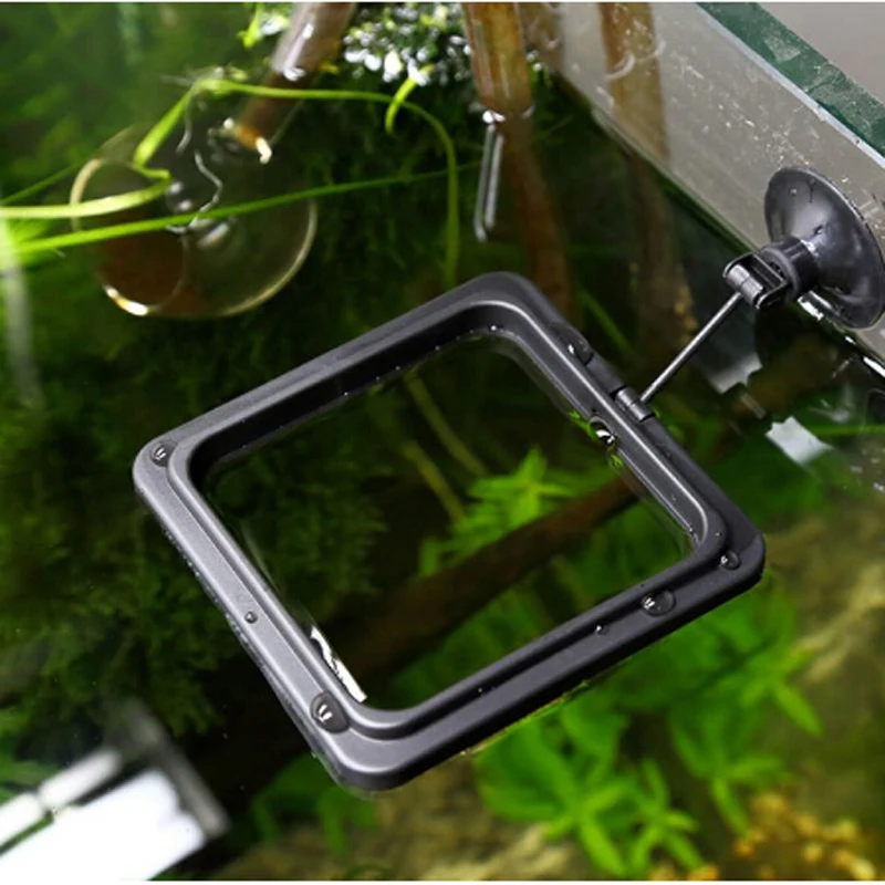 New 1pcs Fish Food Ring Aquarium Tank Small Type Tropical Feeder Feeding Accessories | Дом и сад