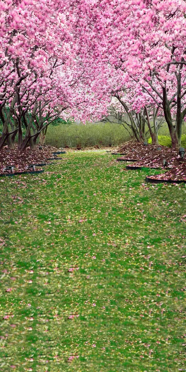 

Photography Props Backdrop Photo Gallery Outdoor Wedding Dresses Children's Photo Street Church Seaside Landscape Background