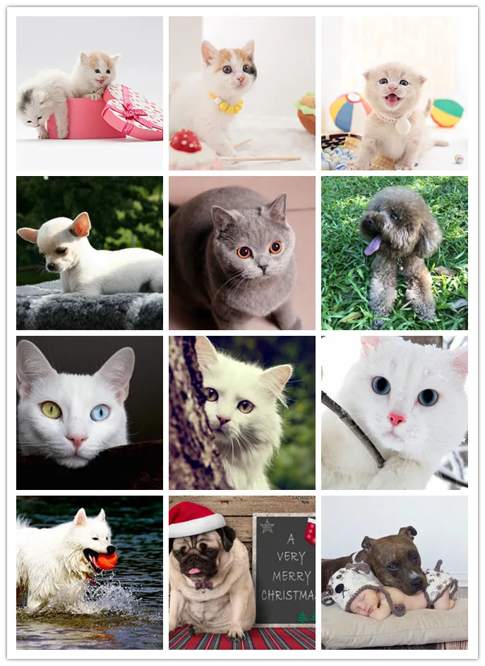 

Алмазная вышивка «сделай сам», мультяшная Собака и кот 5D, алмазная живопись, вышивка крестиком, мозаика Стразы, домашний декор