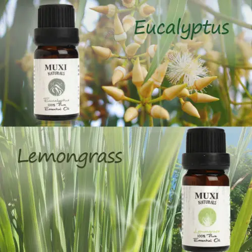 6 шт./лот чистый Ароматерапия Эфирные масла набор благовоний для воздуха диффузор