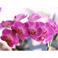 flower orchid diy cross stitch embroidery 11ct kits needlework craft set printed canvas cotton thread home decoration on sell