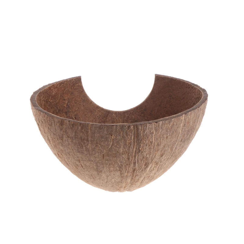 2020 новые рептилии спрятать среду обитания натуральный кокосовый скорлупа