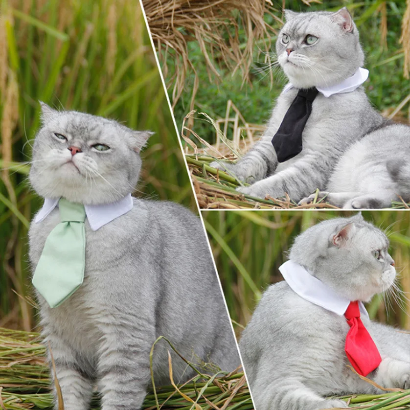 Галстук для собак уход за собакой полосатый шейный галстук ошейник домашних