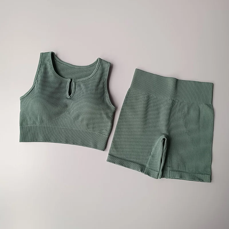 Seamless Women Yoga Set  Gym Clothing Ribbed Workout Set Tracksuits Fitness Sports Bra Top Vest High Waist  Shorts Sports Suits
