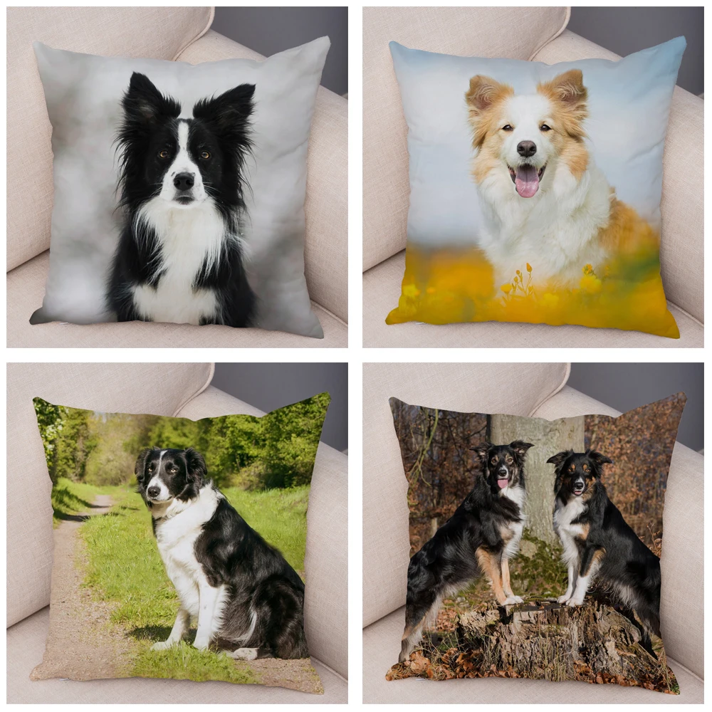 Печатные Pet Чехол для подушки с изображением животных Шотландия колли мягкая