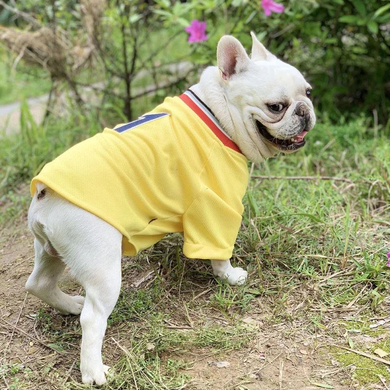 

Summer Pet Dog Clothes Pug Clothing French Bulldog Costume T-shirt Poodle Schnauzer Welsh Corgi Dog Tee Shirt Apparel Dropship