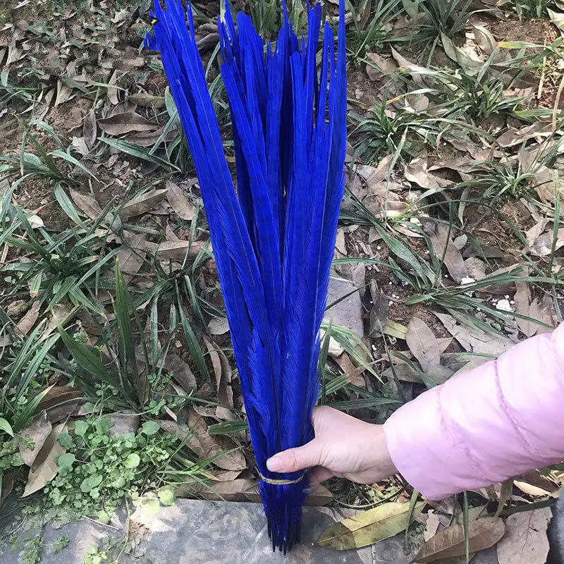 Royal blue 100 шт натуральные перья из хвоста фазана 16-18 дюймов 40-45 см Высокое качество DIY Ювелирные изделия Свадебные украшения перо фазана - Цвет: Royal blue