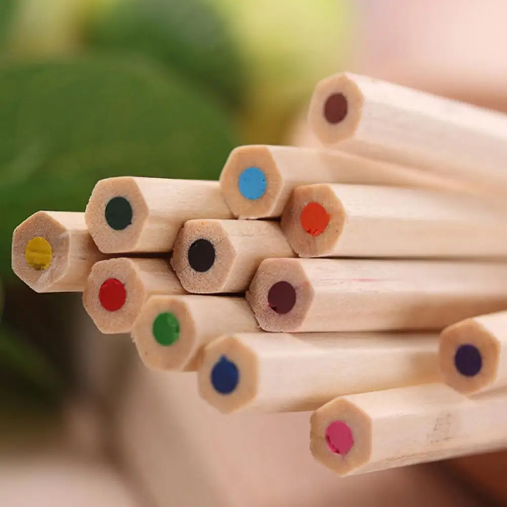 

12 Colors Student Artist Painting Drawing Pencils Pen School Office Stationery Drawing Pen Student Stationery with Pen Holder