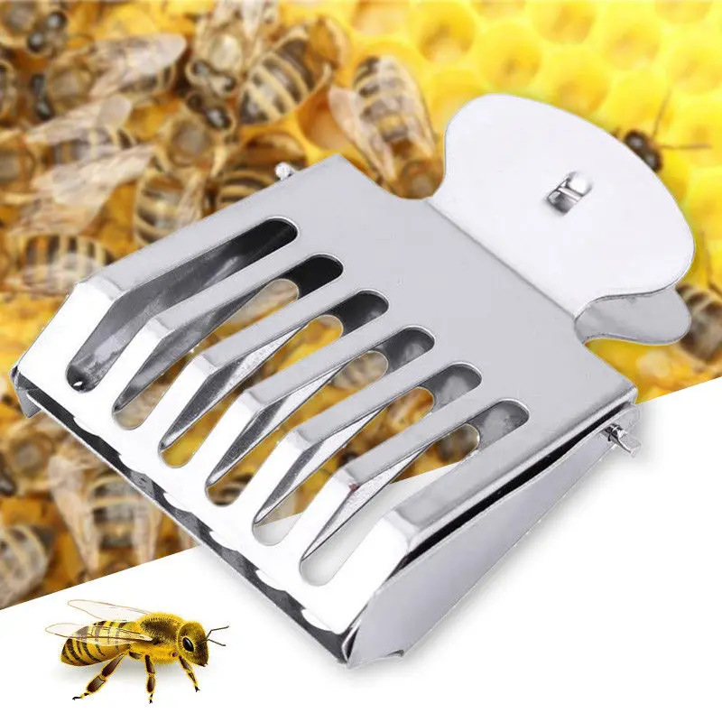 

5PCS Beekeeping Tool Stainless Steel Queen Cage Clip Queen Bee Catcher Beekeeping Supplies