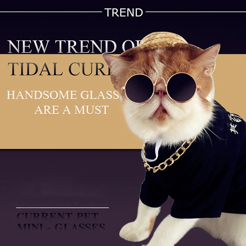 1 шт. Складная Животных очки для домашних животных отдыха на открытом воздухе