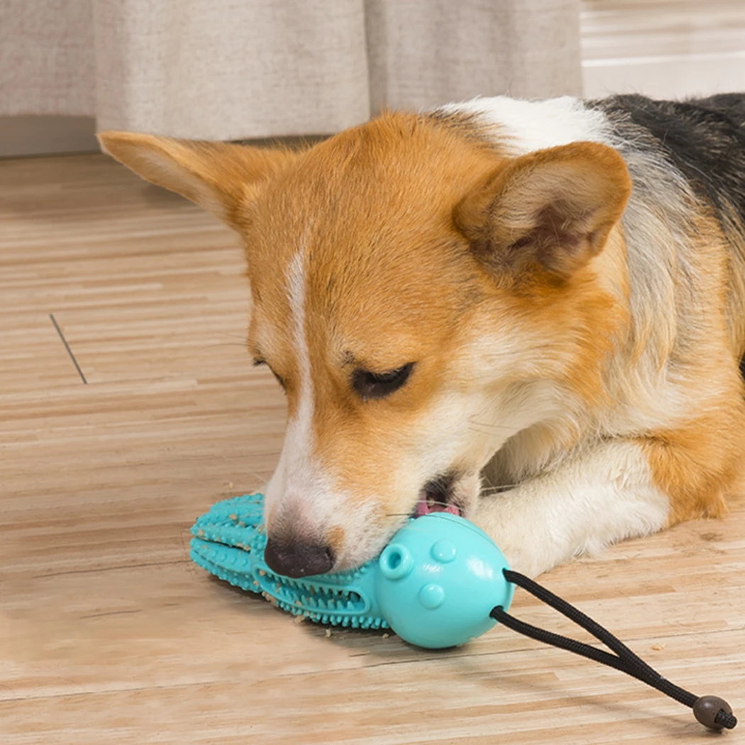 

Dorakitten 2021 New Dog Chew Toy Rubber Portable Puppy Teeth Cleaning Toy Dog Treat Toy For Pet Puppies Products