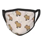 Маска Capybara Black Border