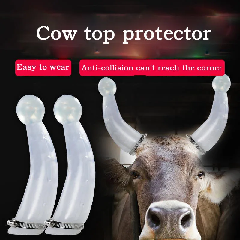 

Cattle anti-top device, animal husbandry horn device, anti-collision device, cow horn protection cover, horn protection cover