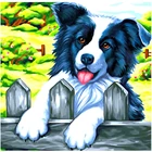 Водорастворимый холст с принтом животных Border Collie, 11CT, Набор для вышивки крестиком сделай сам, DMC нитки для вязания, оптовая продажа