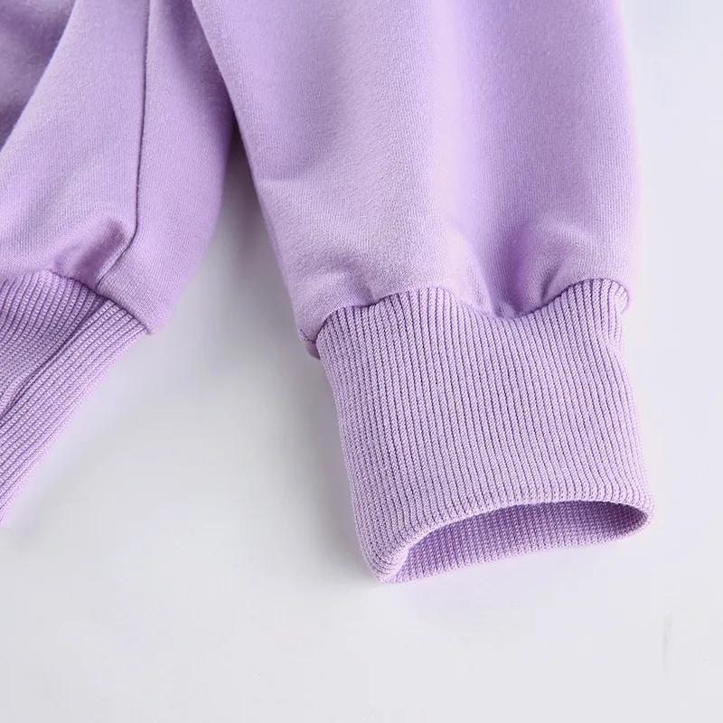 

2pcs Women's Casual Clothes Set Soild Color Long sleeve Sweatershirt Tops Loose Waist Slimming Shorts Active Sport Tracksuit