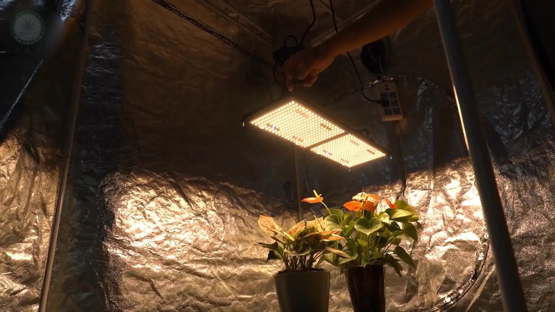 

Maaadro newest qb288 240w V3 hl lm301b QB Board led grow light with UV IR switch, hydroponic plant growth supplement light