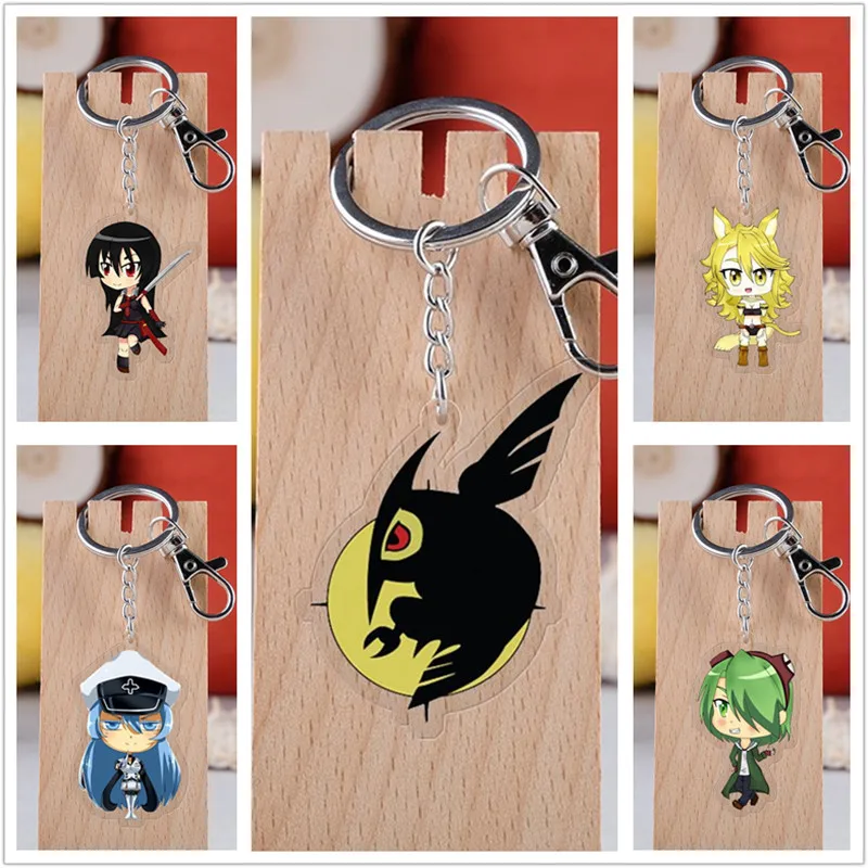 

10 pcs/lot Anime Akame ga KILL Acrylic Keychain Toy Figure Leone Lubbock Sheele Bag Pendant Double sided Key Ring Gifts