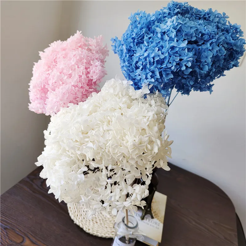 

Nature Fresh Preserved 1Bunch Anna Hydrangea Whole Branch Dried Flower Photograph New Home Desktop Garden Party Decoration