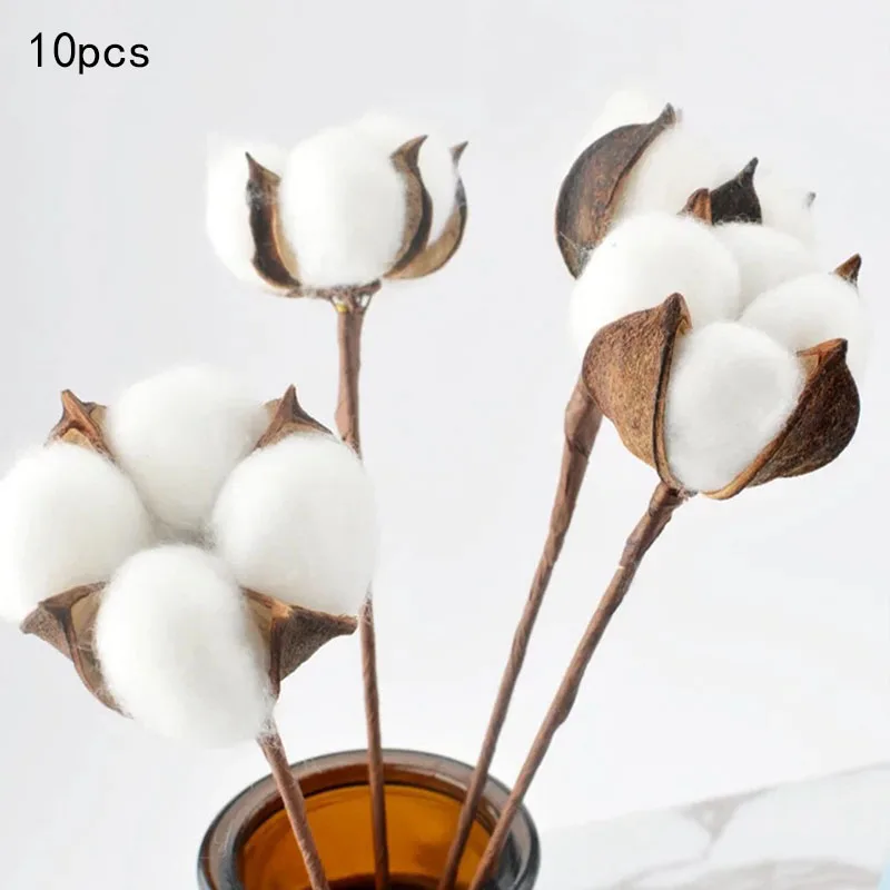 

Naturally Dried Cotton Flowers White Home Decorative Artificial Floral Branch Wedding Bridesmaid Bouquet Decor Fake White Flower