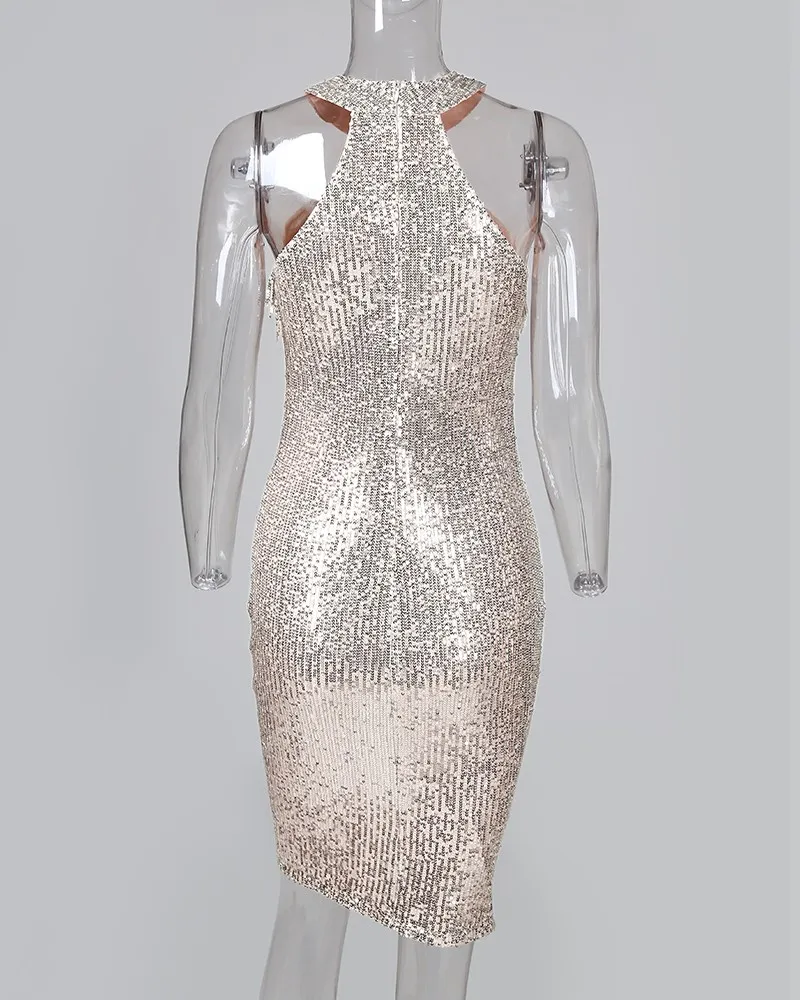 

Women Sequins Sleeveless Tassel Design Bodycon Dress Sexy Party Dresses