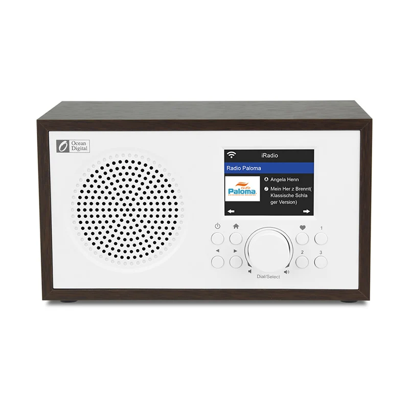 Ocean Digital WR-100 Многофункциональный wifi беспроводной bluetooth интернет радио динамик 2 4