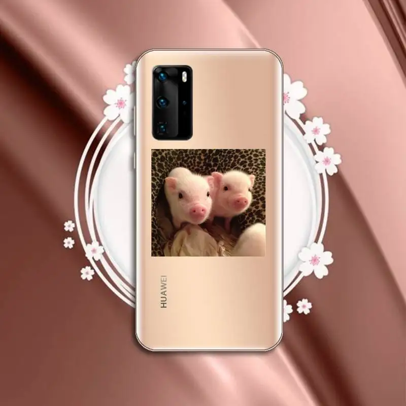 

Cute Little Pink Pet Pig animal Phone Case Transparent for Huawei P honor 8 10i 20 30 40 smart 2019